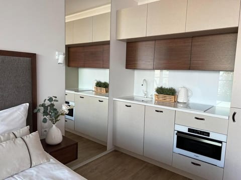 Kitchen or kitchenette, oven