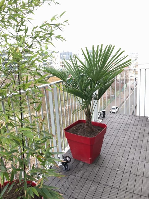 FRATELLINI 3 Bedroom bright and design Apartment in Saint-Denis, France