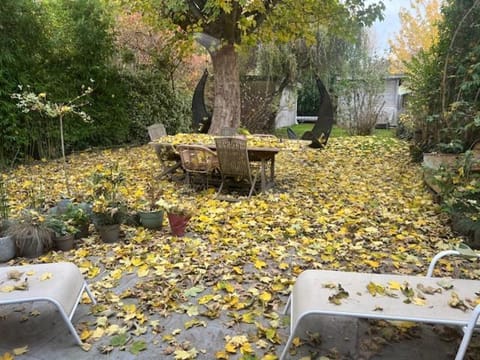 Petit cocon lillois:Cheminée & jardin Vacation rental in Lille