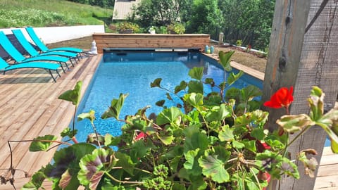 Pool view, Swimming pool, sunbed