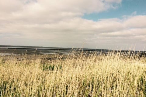 Ferienwohnung Nr. 2 - Düne Apartment in Wittmund