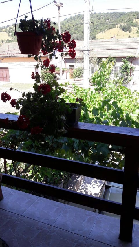 View (from property/room), Balcony/Terrace