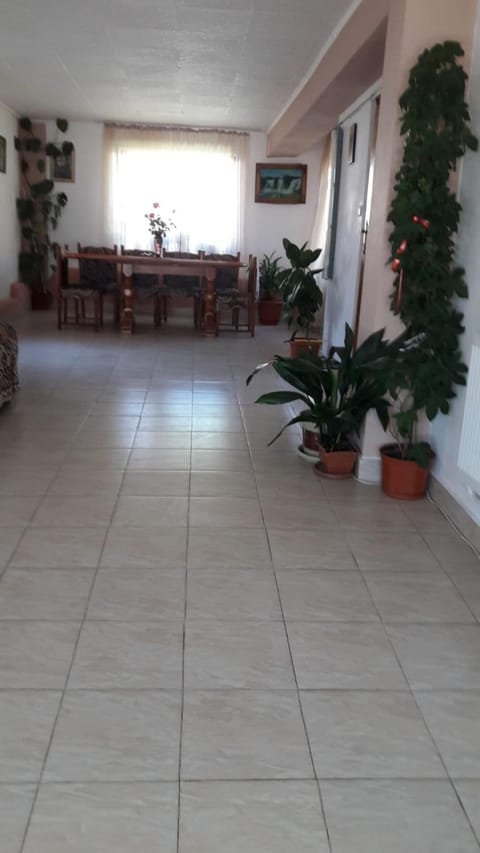 Casa Elena Eselnita Bed and Breakfast in Serbia