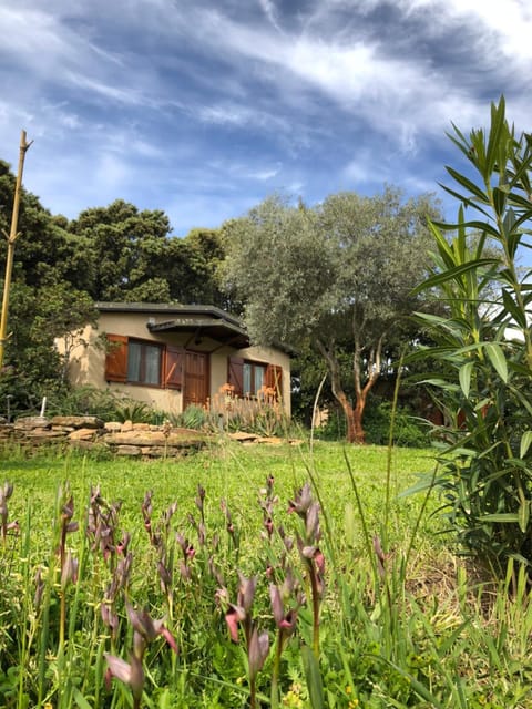 Facade/entrance, Garden