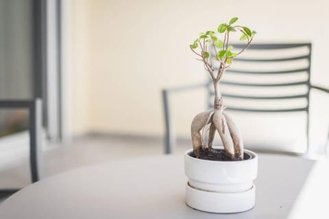 Exceptional in Piraeus Apartment in Pireas