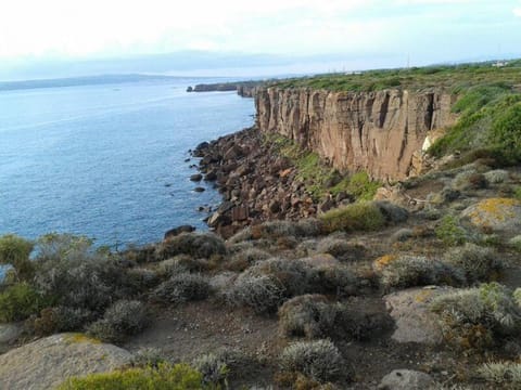 Nearby landmark, Day