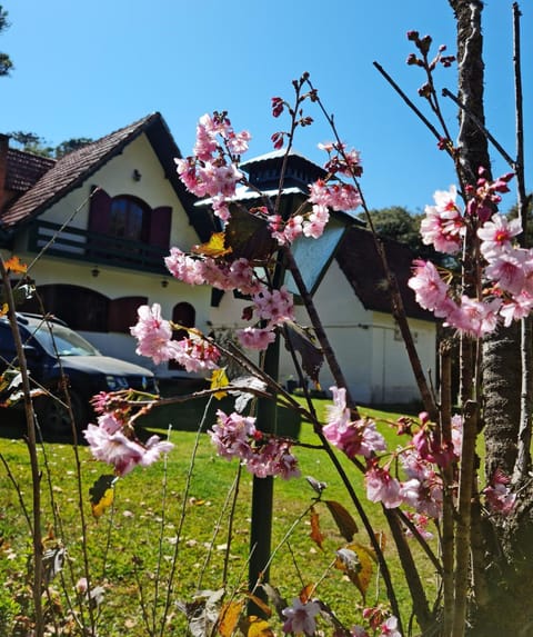Property building, Garden, Garden view, Parking