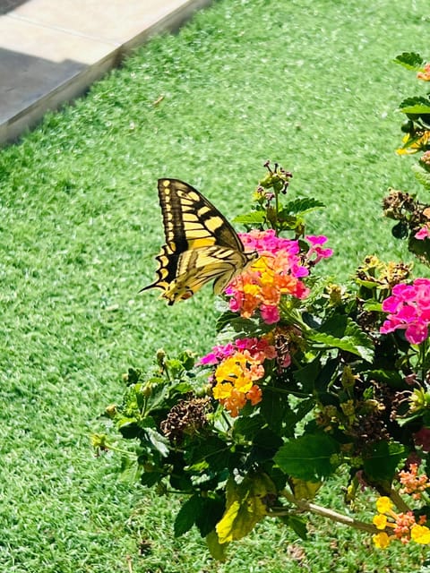 Le residenze del mare Bed and Breakfast in La Caletta