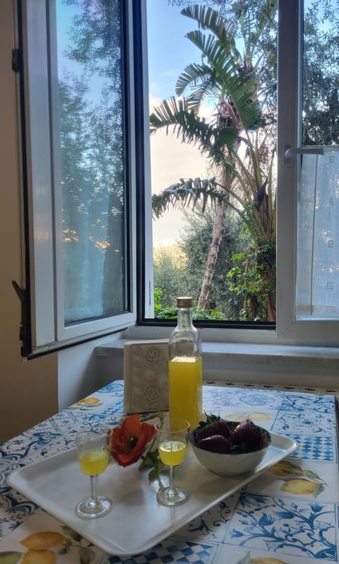 Dining area, Garden view