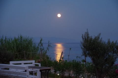 Natural landscape, On site, Sea view