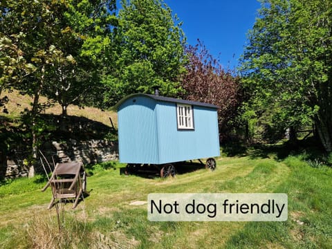 Craskie Glamping Pods Nature lodge in Scotland