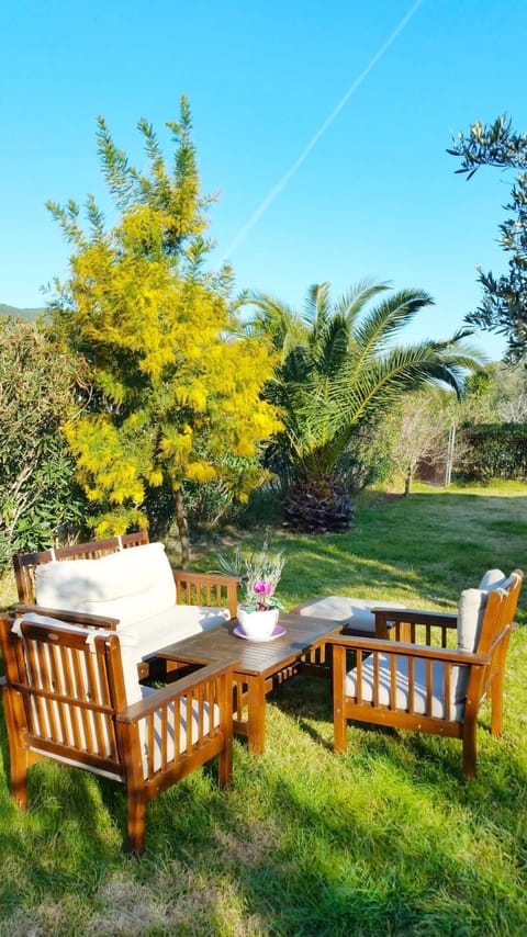 Garden, Garden view