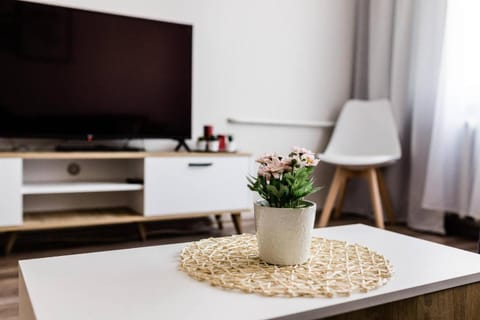 Scandinavian inspired design Apartment in Vilnius