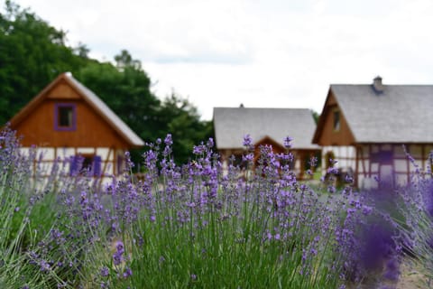 Property building, Natural landscape, Garden