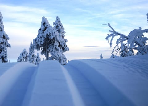 Winter, Skiing