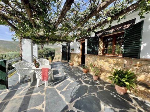 Property building, Patio, Natural landscape