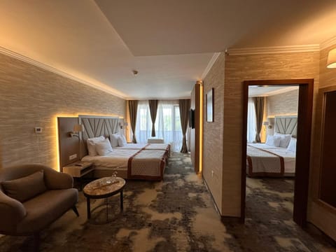 Bed, Living room, Photo of the whole room, Seating area, Bedroom