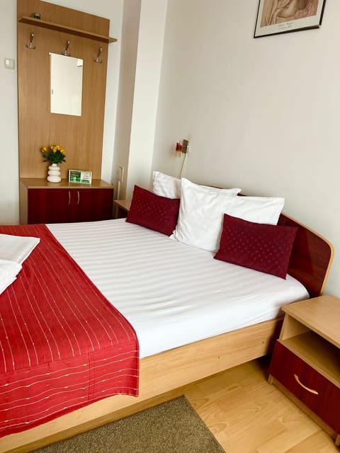 Pensiunea Elena Bed and Breakfast in Timisoara