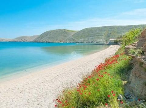 Natural landscape, Beach