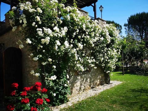 Casale dei Puppi, una bellissima casa rustica House in Umbria