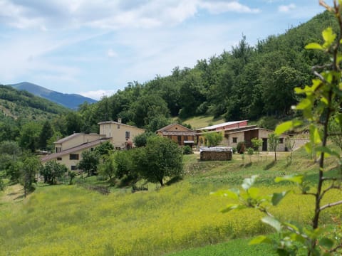 Agriturismo Casale Sant'Antonio Farm Stay in Umbria
