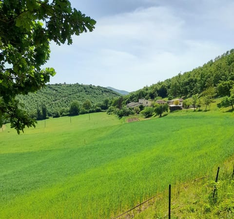 Agriturismo Casale Sant'Antonio Farm Stay in Umbria