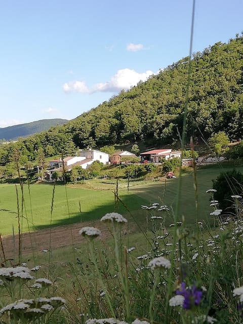 Agriturismo Casale Sant'Antonio Farm Stay in Umbria