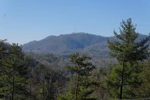 Wow! What A Cabin #255 Cabin in Sevier County