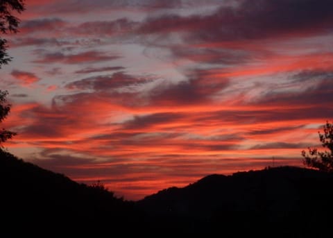 Wow! What A Cabin #255 Cabin in Sevier County