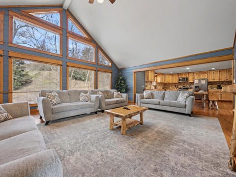 Black Bear Cinema #4819 House in Pigeon Forge