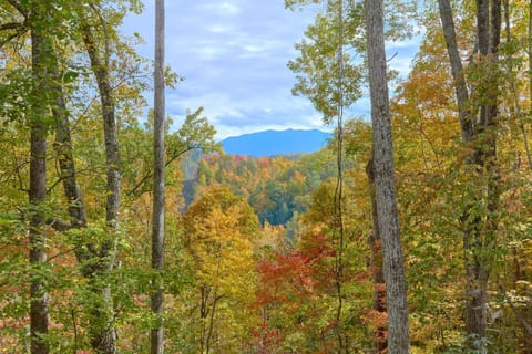 A Tranquility Den #210 House in Pigeon Forge