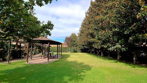 Patio, Spring, Day, Garden, Landmark view