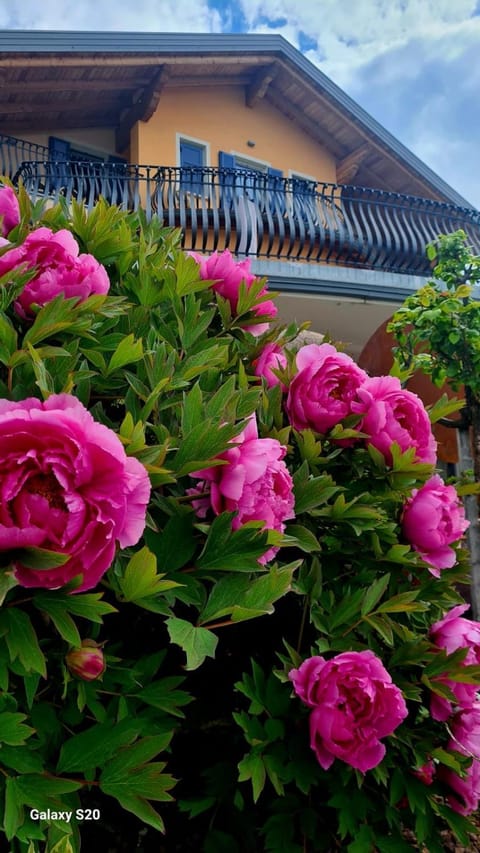 Affittacamere Dolce Sogno Bed and Breakfast in Trentino-South Tyrol