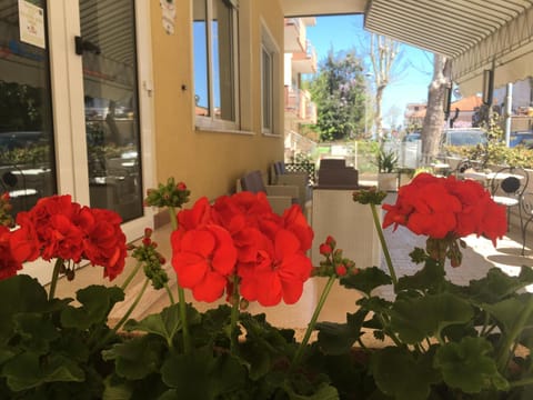 Property building, Balcony/Terrace, Balcony/Terrace