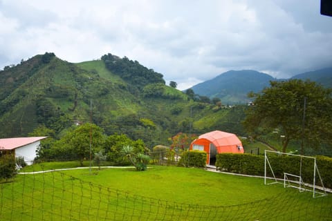 Natural landscape, Breakfast
