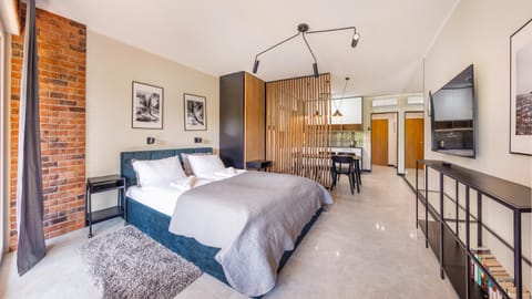 Bed, TV and multimedia, Kitchen or kitchenette, Photo of the whole room, Seating area