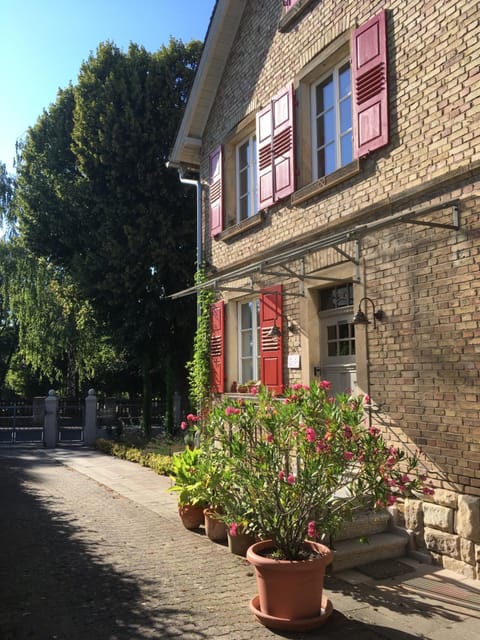Property building, Patio
