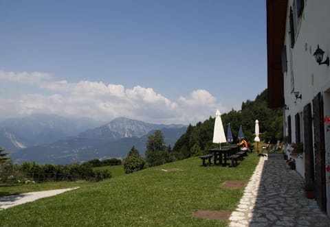 Trentino in malga: Malga Zanga Country House in Trentino-South Tyrol