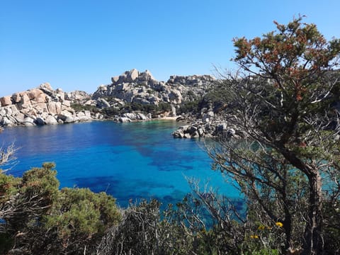 Natural landscape, Beach