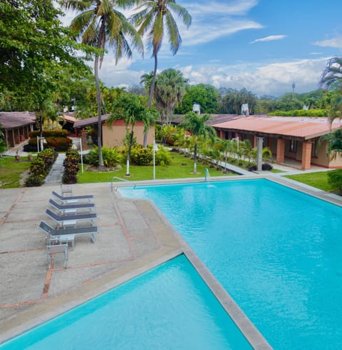 Natural landscape, Garden, Garden view, Pool view, Swimming pool, sunbed
