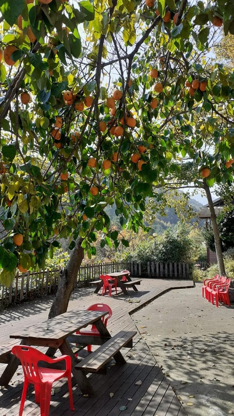 Garden, Garden view