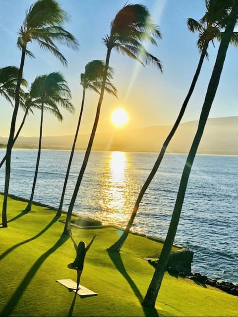 Spectacular luxury , modern oceanfront condo Maalaea-Kihei ,Maui Apartment in Maalaea