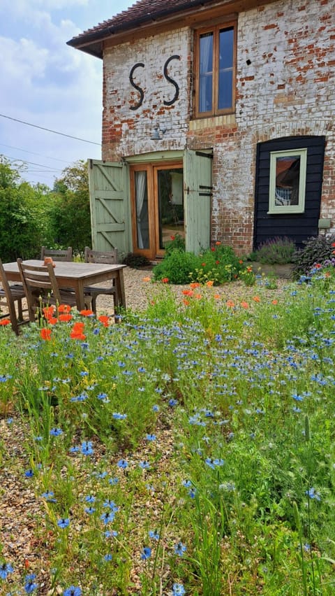 Garden, Garden view, Inner courtyard view