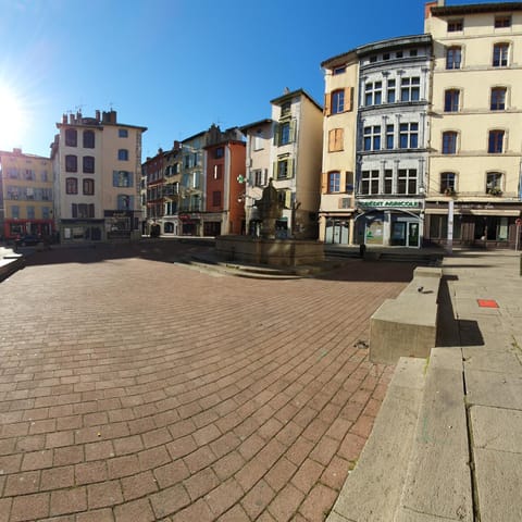Un charmant F2 pour les voyageurs et les pèlerins! Apartment in Auvergne-Rhône-Alpes