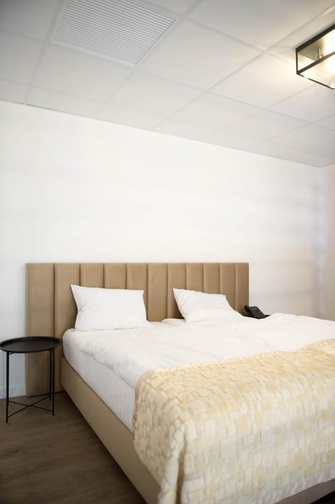 FRIENDS RESIDENCE Apartments Apartment in Timisoara