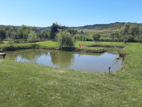 Natural landscape, River view