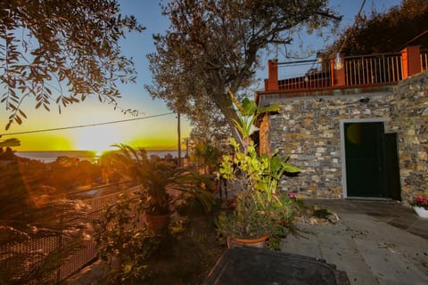Patio, Garden, Sunset