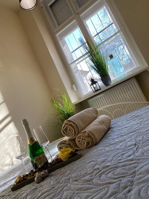 Pedal Apartman Szeged City Apartment in Szeged