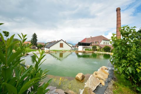 Garden, Swimming pool