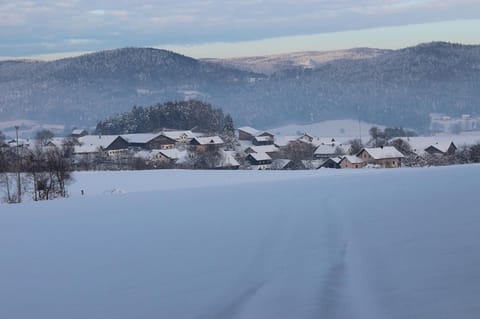 Natural landscape, Area and facilities